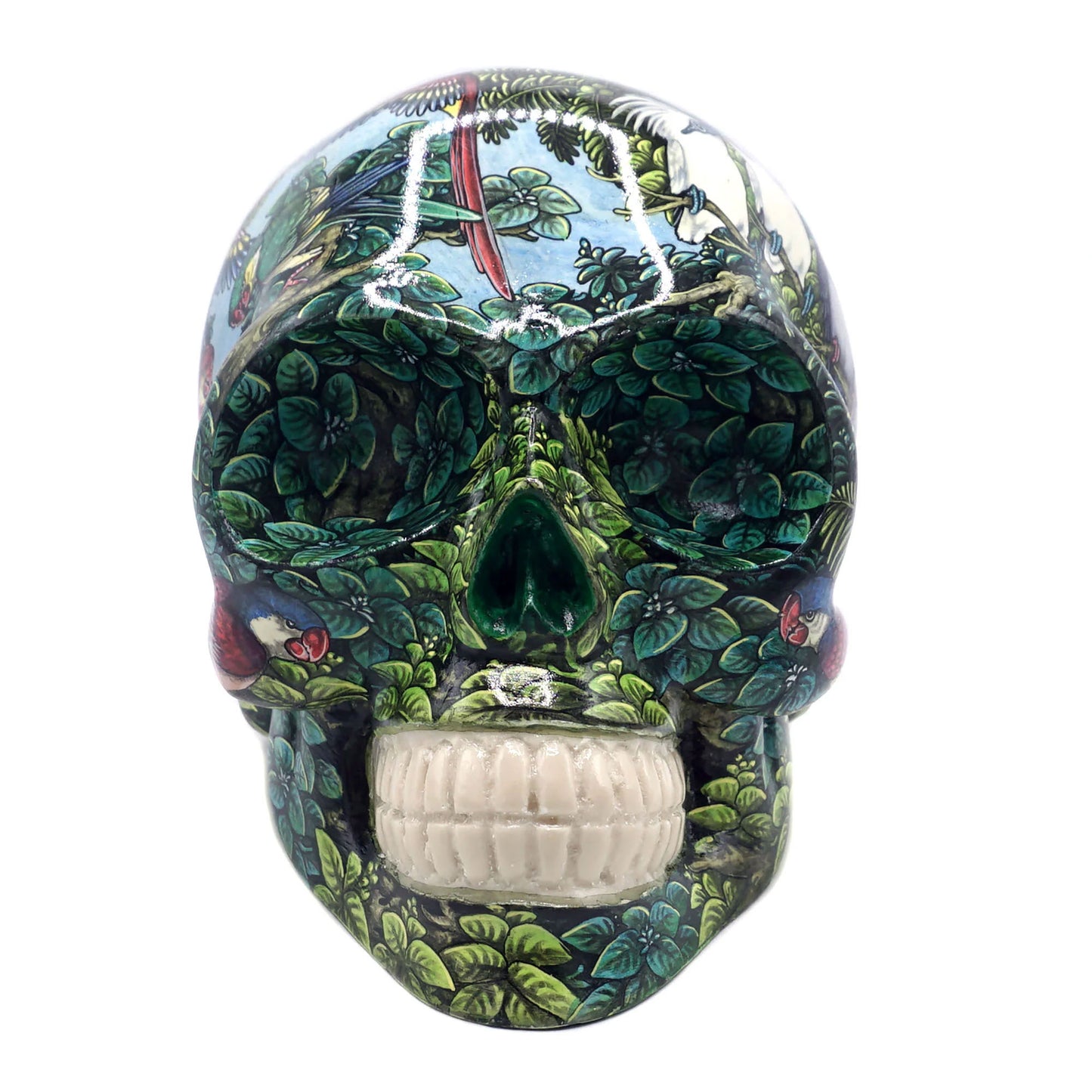 Skull Design - Bird - Käsinmaalattu pääkallo